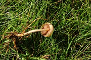 IMG_2190