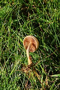 IMG_2192