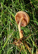 IMG_2192s
