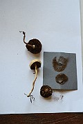 IMG_2195