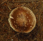 IMG_2250