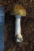 IMG_2260