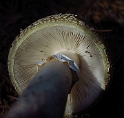 IMG_2263