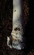 IMG_2264