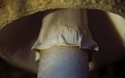 IMG_2265