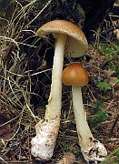 IMG_0037