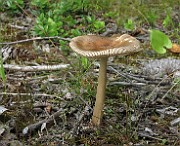 IMG_0052
