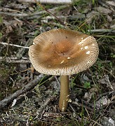 IMG_0053