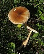 IMG_0320