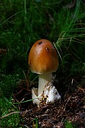 IMG_0866
