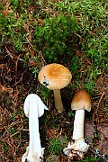 IMG_0869