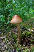 IMG_0884