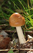 IMG_1334