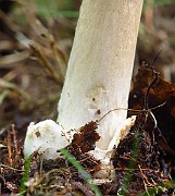 IMG_1955