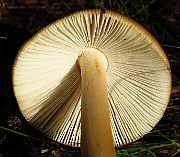 IMG_1960