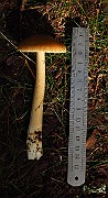 IMG_1961