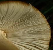 IMG_1962