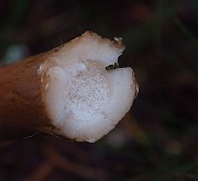 IMG_1964