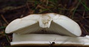 IMG_1966