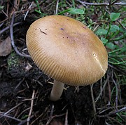 IMG_4848