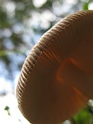 IMG_4851