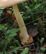 IMG_7665