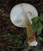 IMG_7670