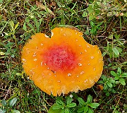 20200730_145104