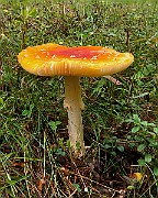 20200730_145121