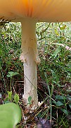 20200730_145137