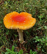 20200730_145151