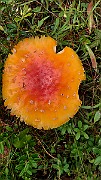 20200730_145200