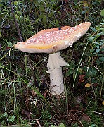 20200730_175525