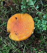 20200730_175552