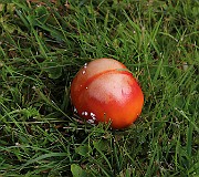IMG_0119