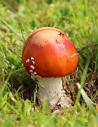 IMG_0123