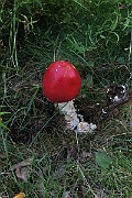 IMG_0371