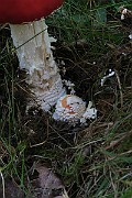 IMG_0373