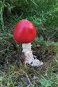 IMG_0374