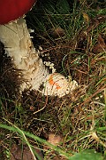 IMG_0380
