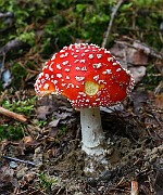 IMG_2022
