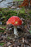 IMG_2023