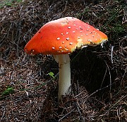 IMG_9165