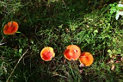 IMG_9399