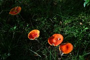 IMG_9400