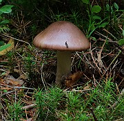 IMG_1489