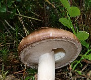 IMG_1491