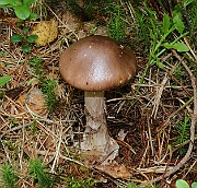 IMG_1497