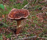 IMG_2300