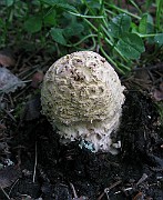 IMG_3057